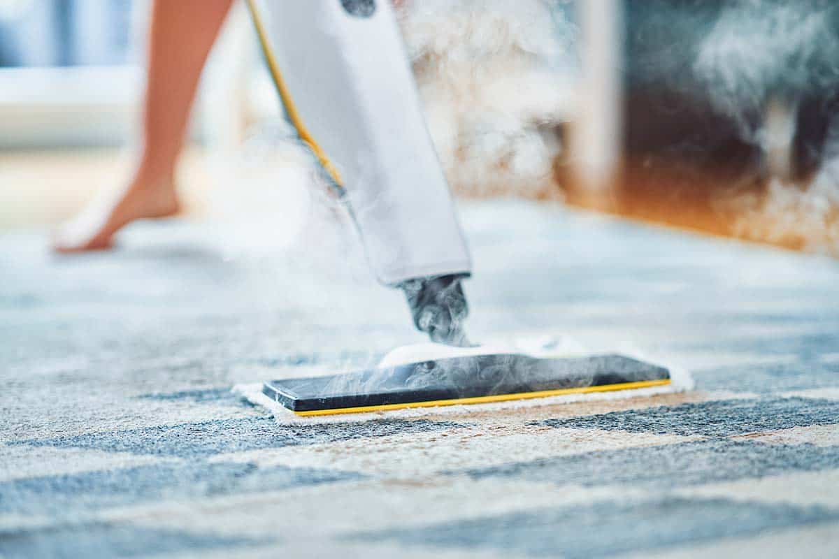 The Pros and Cons of Hiring Carpet Cleaning Services